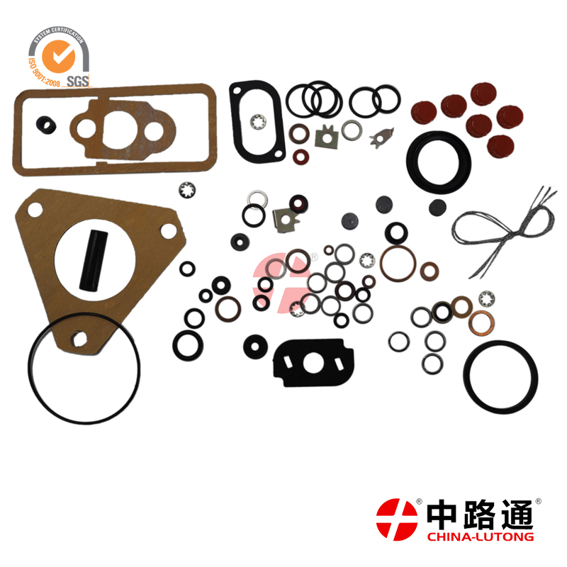 cav injection pump rebuild kit 713568