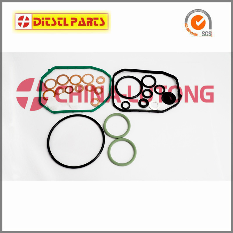 1hz rebuild kit 2 417 206 003 for bosch 044 fuel pump kit